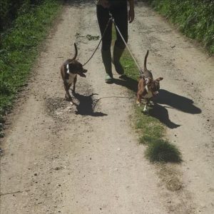 Into the sunshine