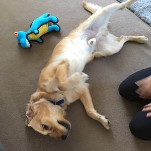 Benson chills out at home