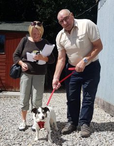 Bruno goes home