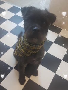 Tetley's new do!