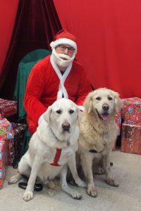 Santa Paws in Padstow