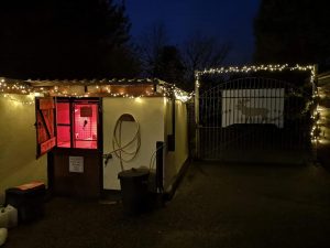 Christmas Lights Switch On