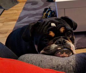 Welcome home, Reggie