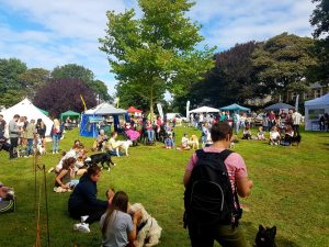 Fun at Victoria Park dog show