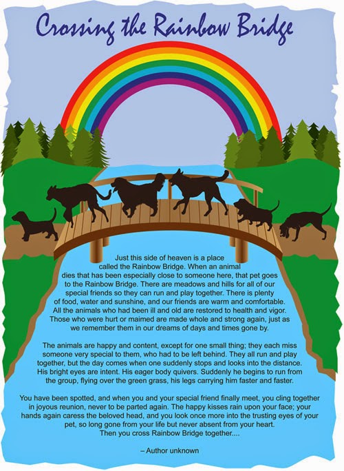 journey over the rainbow bridge